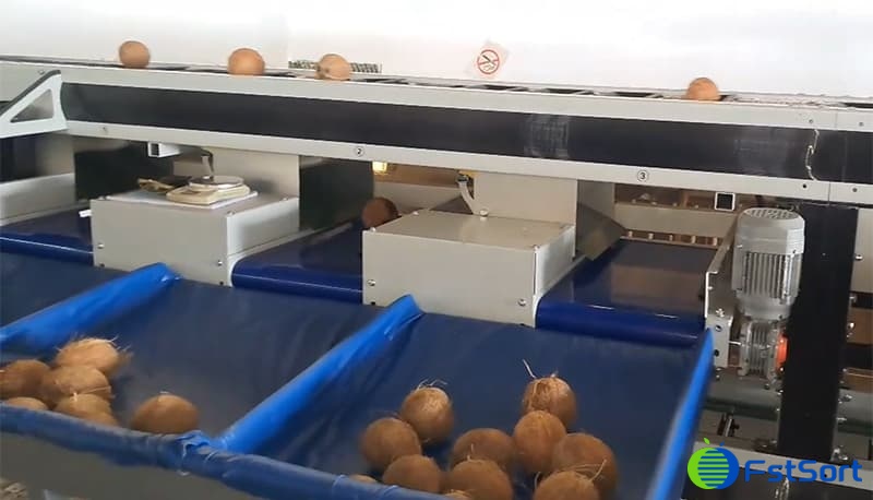 images/1739779134263coconut size grader.jpg